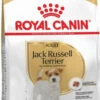 Royal Canin Breed Adult Jack Russell
