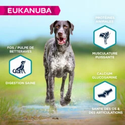 EUKANUBA Gran Free Dog Adult L/XL -EUKANUBA Winkel lm 7260d3180d672e08b4c5312dcdafdf6ef361635499202