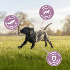 Eukanuba Growing Puppy Large Breed 7 Eukanuba Growing Puppy Large Breed -EUKANUBA Winkel lm 7260d3180d672e08b4c5312dcdafdf6ef361641822617