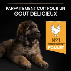 PRO PLAN Large Robust Puppy Met Kip -EUKANUBA Winkel lm 737a5cdd4aa0048b187f7182f1b9ce7a6a71687266943