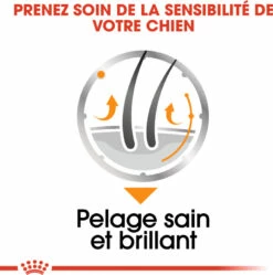 Royal Canin Coat Care Natvoer In Mousse 10 Royal Canin Coat Care Natvoer In Mousse -EUKANUBA Winkel lm 73d2ddea18f00665ce8623e36bd4e3c7c51639064633