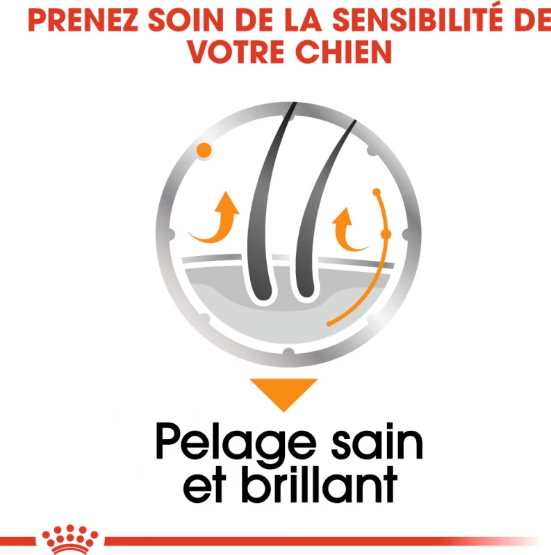 Royal Canin Coat Care Natvoer In Mousse 5 Royal Canin Coat Care Natvoer In Mousse - Afbeelding 5