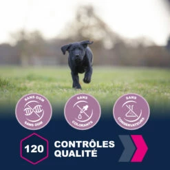 Eukanuba Growing Puppy Large Breed 9 Eukanuba Growing Puppy Large Breed -EUKANUBA Winkel lm 772e57c6b956a6521b28495f2886ca0977a1641822742