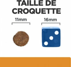 HILL'S Prescription Diet K/D + Mobility Voor Volwassen Honden -EUKANUBA Winkel lm 778e07413354875be01a996dc560274708e1662625563