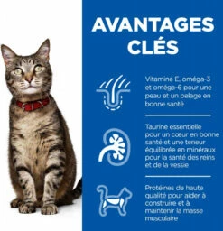 HILL'S Science Plan Cat Adult, Met Kip -EUKANUBA Winkel lm 818f0adc8838f4bdedde4ec2cfad05155891643211707