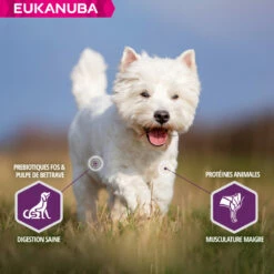 Eukanuba Daily Care Sensitive Skin -EUKANUBA Winkel lm 824677e09724f0e2df9b6c000b75b5da10d1641824070