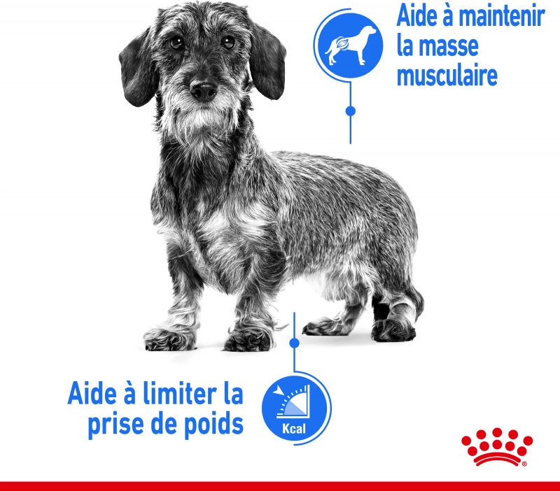Royal Canin Light Mousse 4 Royal Canin Light Mousse - Afbeelding 4
