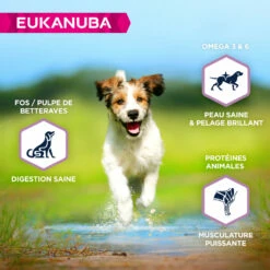 EUKANUBA Grain Free Puppy S/M -EUKANUBA Winkel lm 896061412e4a03c02f9902576ec55ebbe771635503608