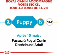 Royal Canin Breed Teckel Junior -EUKANUBA Winkel lm 897647966b7343c29048673252e490f7361598437218