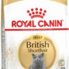 Royal Canin Breed British Shorthair Adult