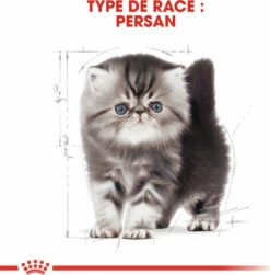Royal Canin Breed Persian Kitten -EUKANUBA Winkel lm 904f47d0ad31c4c49061b9e505593e3db981555685397