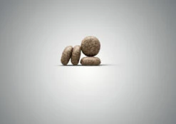 JOSERA Mini Deluxe Grain Free 7 JOSERA Mini Deluxe Grain Free -EUKANUBA Winkel lm 909a4300b002bcfb71f291dac175d52df941631107579