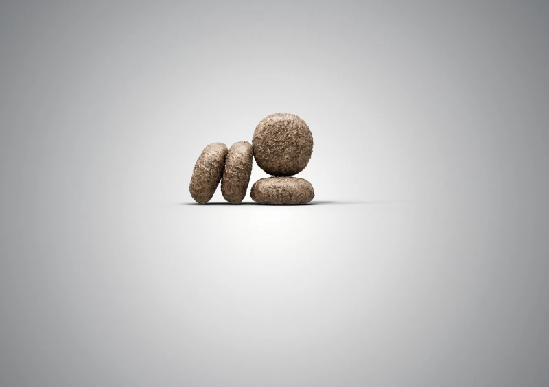 JOSERA Mini Deluxe Grain Free 4 JOSERA Mini Deluxe Grain Free - Afbeelding 4