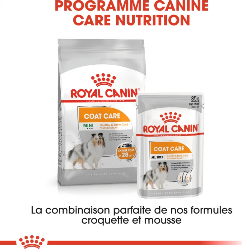 Royal Canin Coat Care Natvoer In Mousse 6 Royal Canin Coat Care Natvoer In Mousse - Afbeelding 6