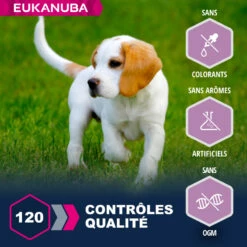 Eukanuba Puppy Small & Medium Breed Lamb & Rice -EUKANUBA Winkel lm 9154229abfcfa5649e7003b83dd47552941608300052