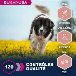 Eukanuba Senior Large, Lamb & Rice -EUKANUBA Winkel lm 926cbb6a3b884f4f88b3a8e3d44c636cbd81608307243
