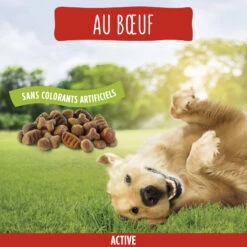 FRISKIES Vitafit Active Met Rund -EUKANUBA Winkel lm 93690794e3b050f815354e3e29e977a88ab1666338672