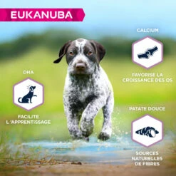 EUKANUBA Grain Free Puppy L/XL -EUKANUBA Winkel lm 9393df1d4b96d8976ff5986393e8767f5b21635501946