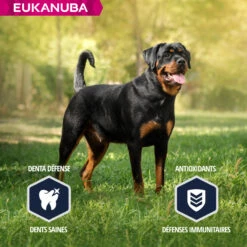 Eukanuba Breed Specific Rottweiler -EUKANUBA Winkel lm 942b55ec28c52d5f6205684a473a21935641641825645