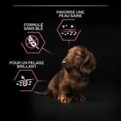PRO PLAN Small & Mini Puppy Sensitive Skin -EUKANUBA Winkel lm 945c48cce2e2d7fbdea1afc51c7c6ad261687271021