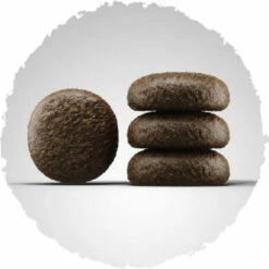 JOSERA Festival Voor Volwassen Honden 6 JOSERA Festival Voor Volwassen Honden -EUKANUBA Winkel lm 946c8c41c4a18675a74e01c8a20e8a0f6621536140607