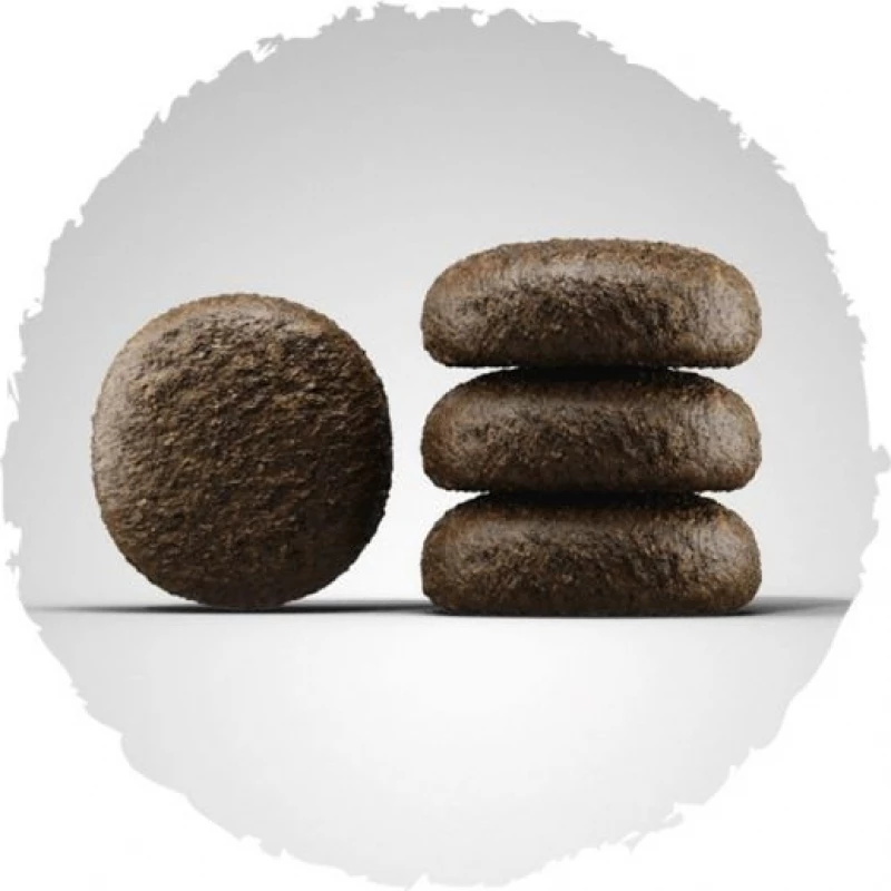 JOSERA Festival Voor Volwassen Honden 2 JOSERA Festival Voor Volwassen Honden - Afbeelding 2