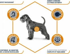 Advance Veterinary Diets Weight Balance -EUKANUBA Winkel lm 946c8c41c4a18675a74e01c8a20e8a0f6621568989125