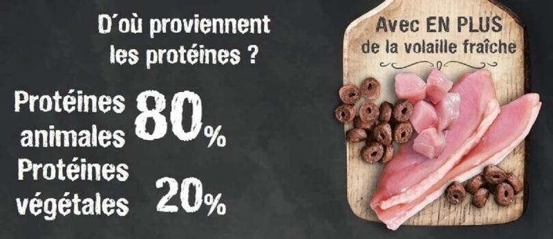 Leonardo Senior 5 Leonardo Senior - Afbeelding 5