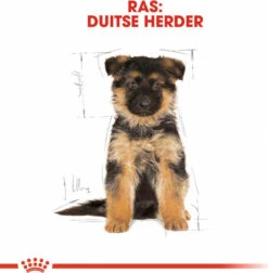 Royal Canin Breed Duitse Herder Junior -EUKANUBA Winkel lm 955ef4e3b775c934dada217712d76f3d51f1578495585