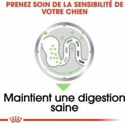 Royal Canin Digestive Care Mousse 9 Royal Canin Digestive Care Mousse -EUKANUBA Winkel lm 955ef4e3b775c934dada217712d76f3d51f1592832881