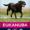 Eukanuba Mature & Senior Large & Giant Breed