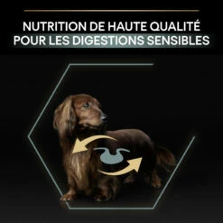 PRO PLAN Small & Mini Adult Optidigest Sensitive Digestion - Lam -EUKANUBA Winkel lm 958d240e3d38a8882ecad8633c8f9c78c9b1687271700