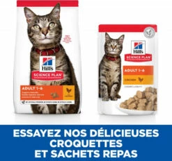 HILL'S Science Plan Cat Adult, Met Kip -EUKANUBA Winkel lm 9631ce927f875864094e3906a4a0b5ece681643211718