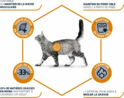 Advance Veterinary Diets Weight Balance Voor Katten Met Overgewicht -EUKANUBA Winkel lm 97592977ae4d2ba21425a59afb269c2a14e1568300380