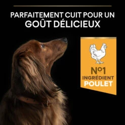 PRO PLAN Small & Mini Adult Light Sterilised -EUKANUBA Winkel lm 989a1140a3d0df1c81e24ae954d935e89261684095507