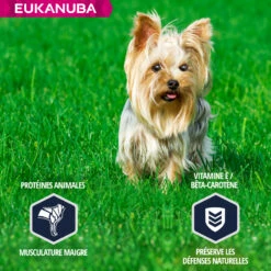 Eukanuba Breed Specific Yorkshire Terrier -EUKANUBA Winkel lm 99ac627ab1ccbdb62ec96e702f07f6425b1641825394
